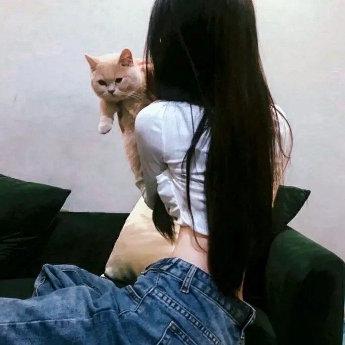 我妻子的一切